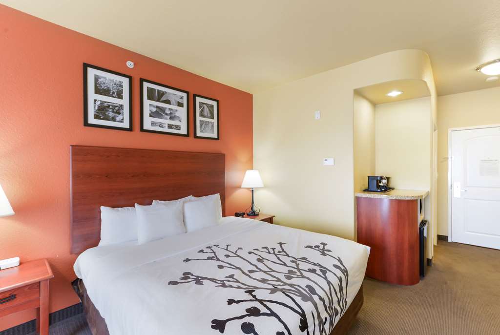 Sleep Inn & Suites Midland West - photo 13