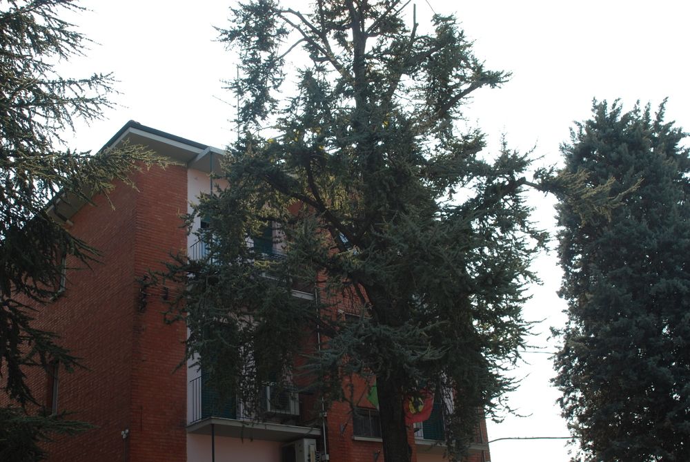 Hotel Tuscolano - carbon neutral hotel in Bologna