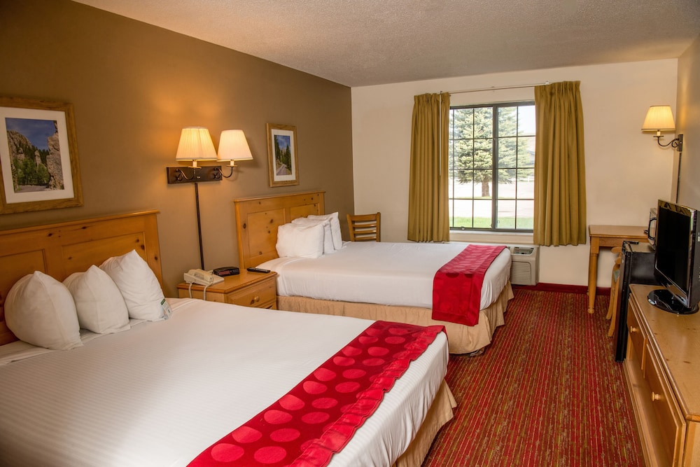 Comfort Inn & Suites Summerset Black Hills Area - photo 16