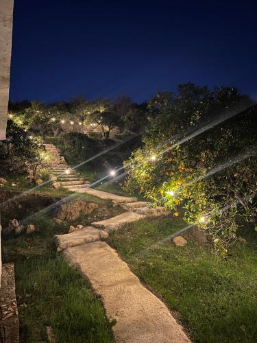 Finca Martina — Casarabonela — photo 2