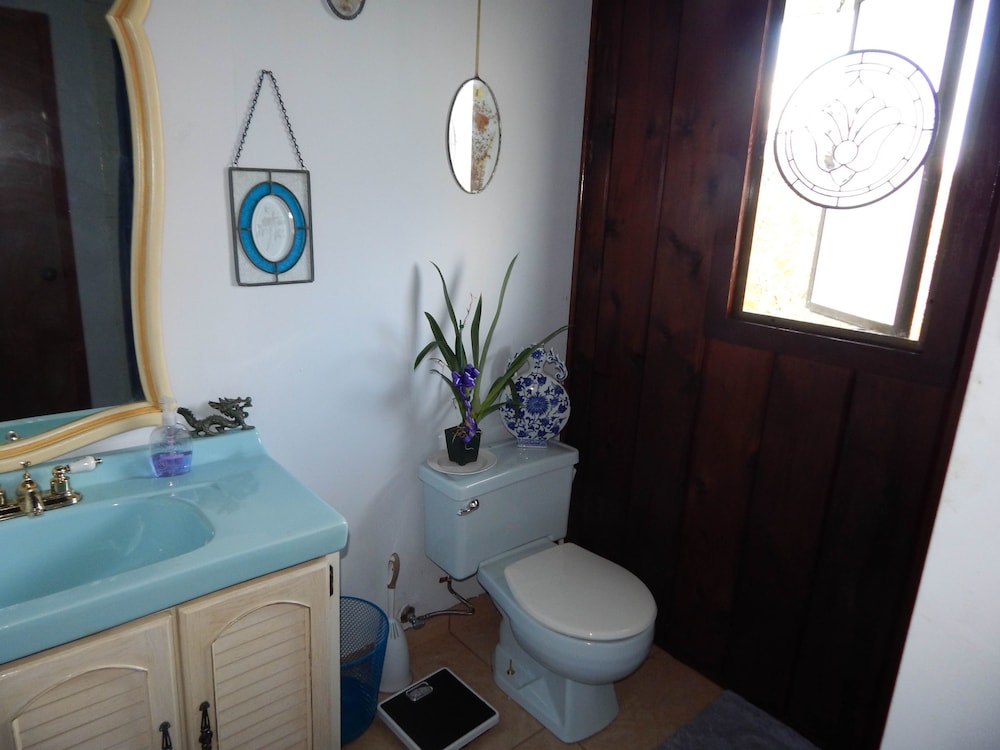 Fern Forest Getaway - photo 21