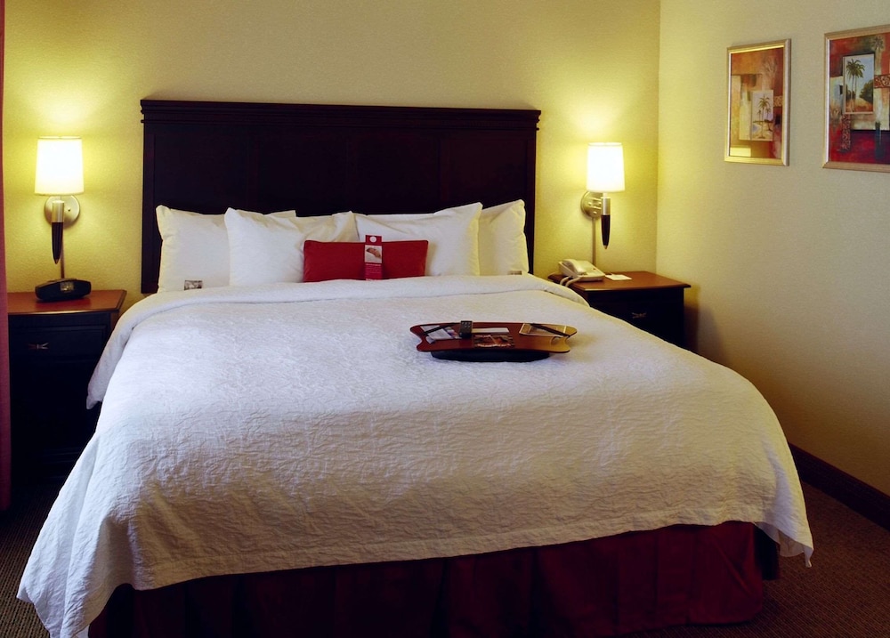 Hampton Inn & Suites Greenville - photo 5