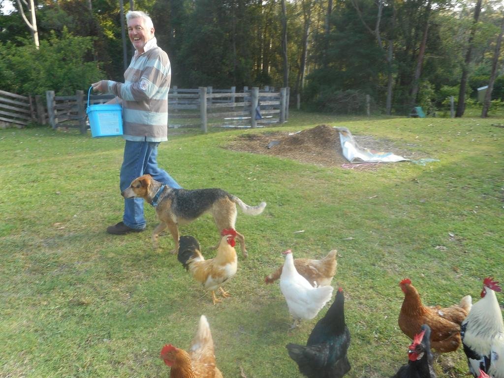 Peacehaven Country Cottages Farmstay in Bulahdelah, Australia