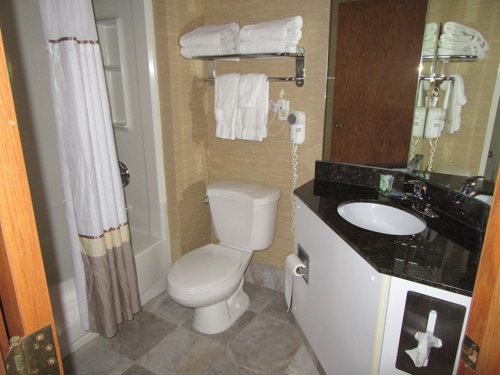 Express Suites Riverport Inn & Suites - photo 31