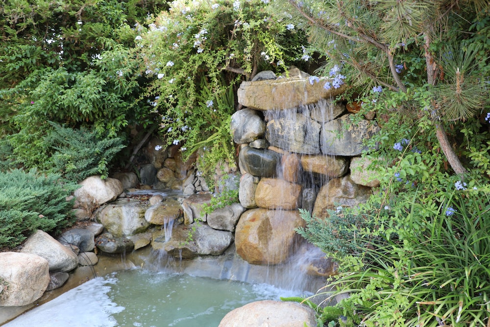 South Coast Winery Resort and Spa - photo 70