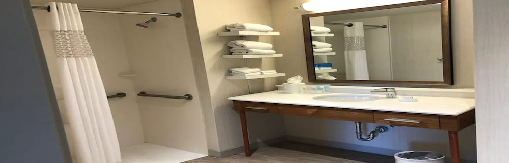 Hampton Inn & Suites Tampa Busch Gardens Area - photo 28