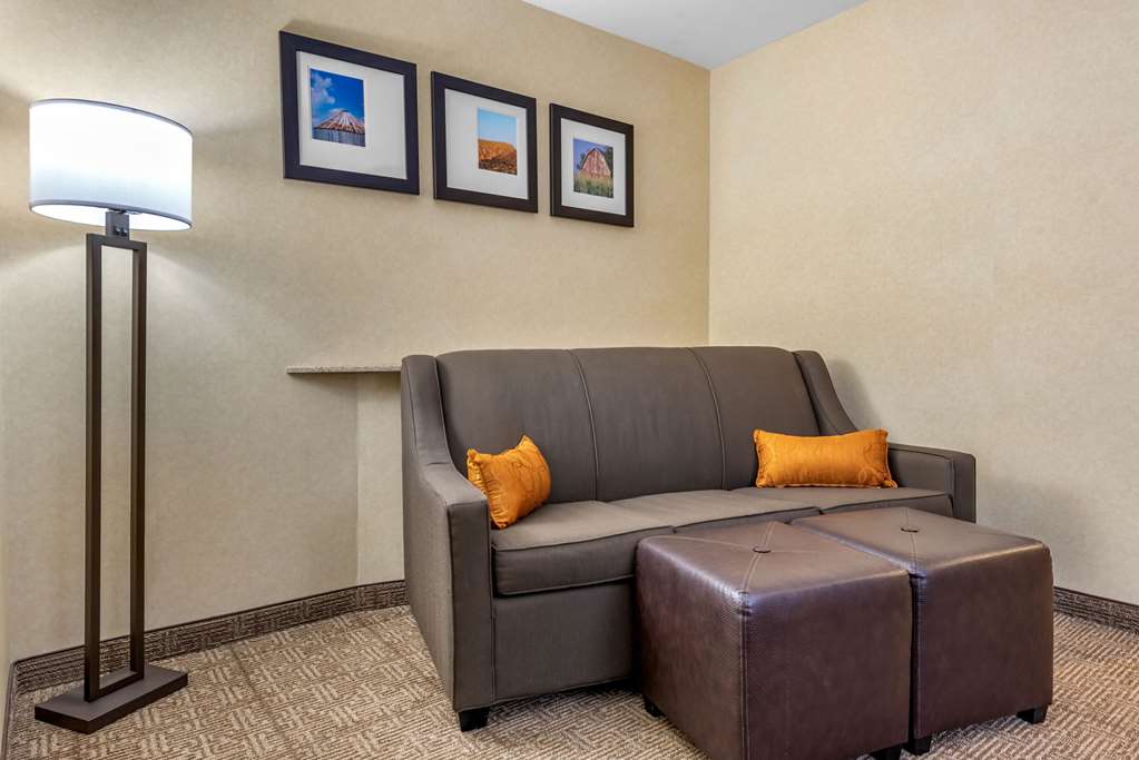 Comfort Suites Elkhart South - photo 24