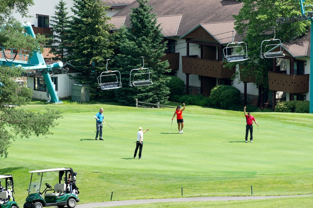 The Inn At Holiday Valley - photo 31