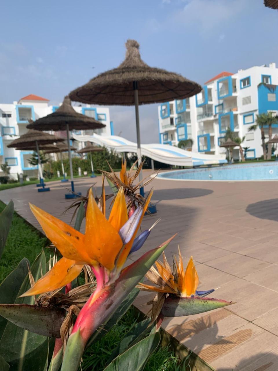 Appartement de standing Résidence Kariat Cabo — 4-Star Luxury Hotel in Cap Negro Ii, Morocco