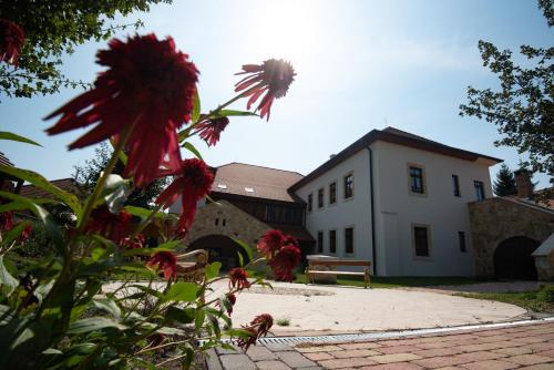 Grossmann Ház in Mad, Hungary