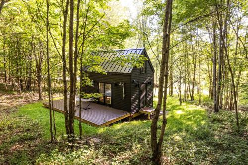 Lil' Rita - carbon neutral hotel in Unknown City