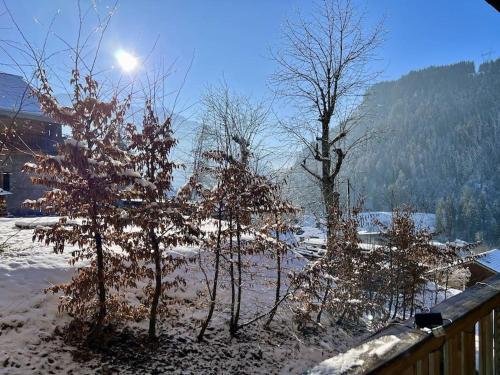 Loges Blanches B201 Bo Immobilier Reduced Prices on Ski Passes Chatel & Portes du Soleil in Chatel, France