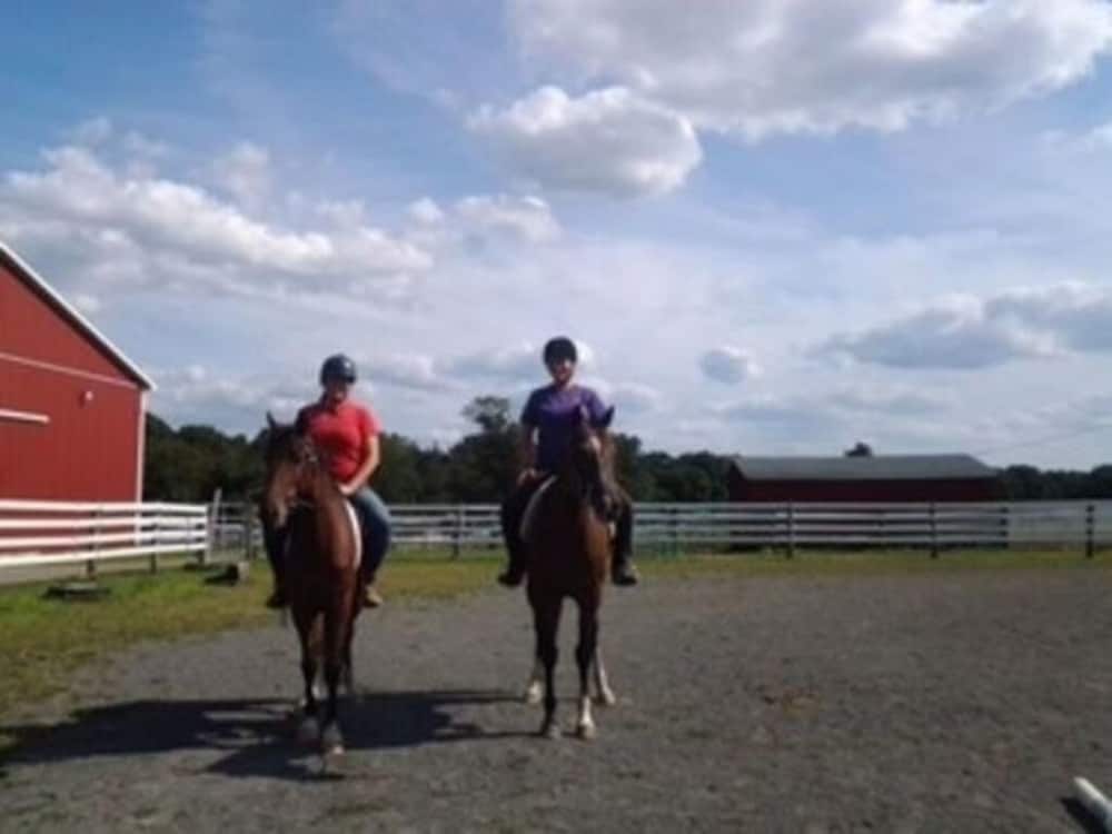 Flint Hill Farm AG - photo 41
