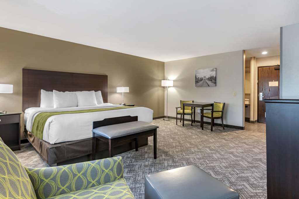 Comfort Inn & Suites Tualatin Lake Oswego South - photo 29