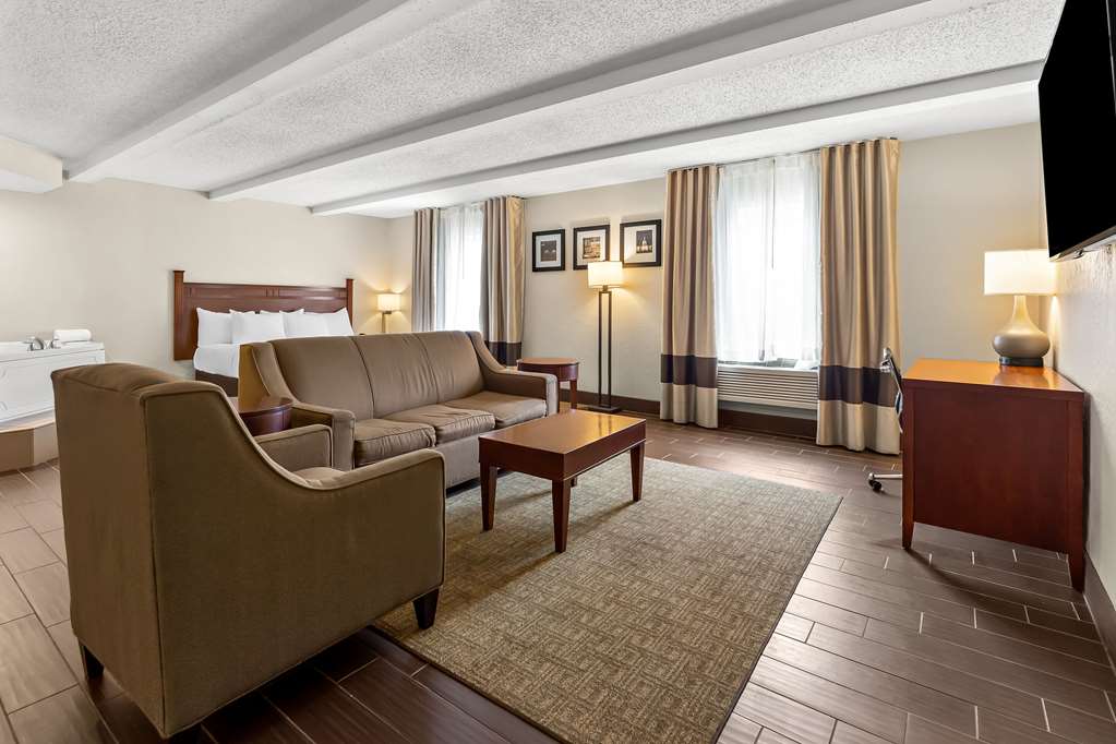 Comfort Inn St. Louis Westport Event Center - photo 29