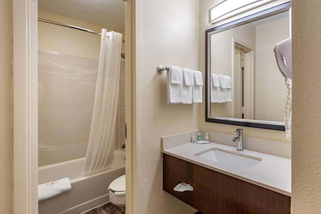 Quality Inn Duluth Atlanta Northeast - photo 14