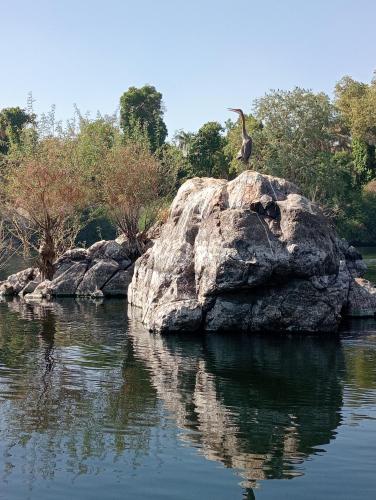 Houseboat Hotel and Nile Cruises Zainoba — Aswan — photo 4