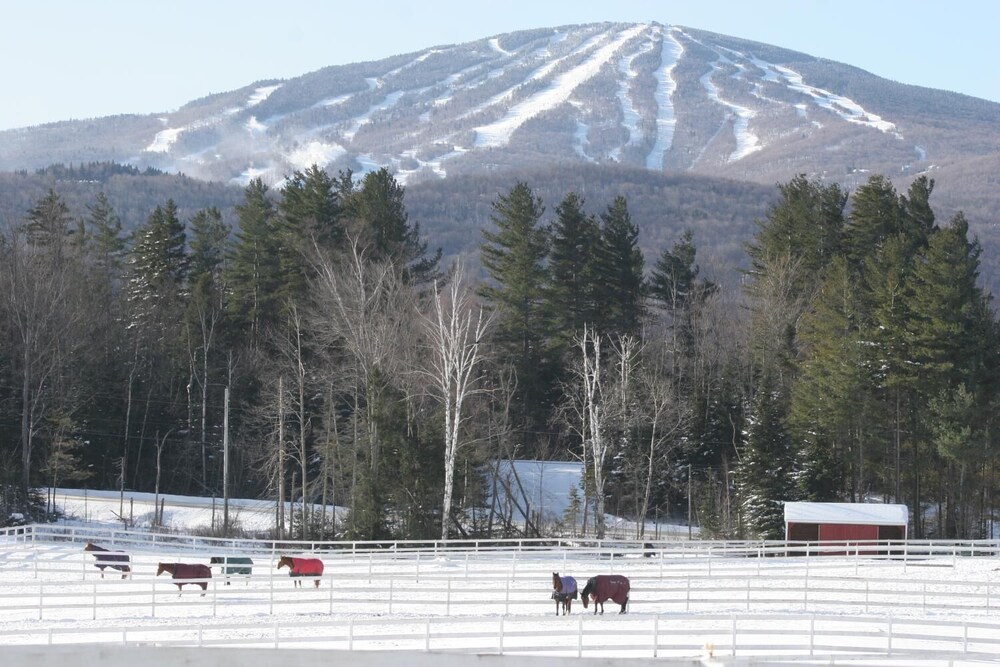 Three Mountain Inn - photo 11