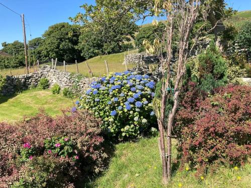 Cwt y Bugail — Barmouth — photo 3