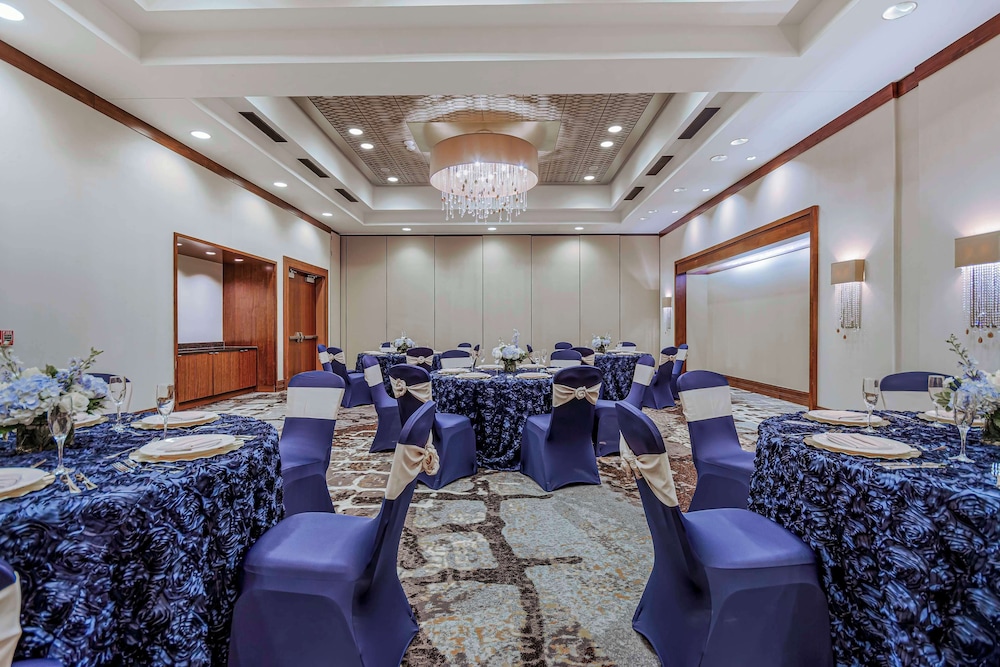 Embassy Suites Houston Downtown - photo 40