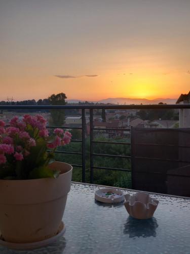 Fox's Sunshine — 4-Star Luxury Hotel in Alepou, Greece