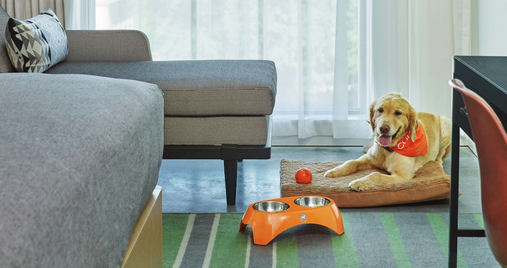 Canopy by Hilton Portland Pearl District - photo 34