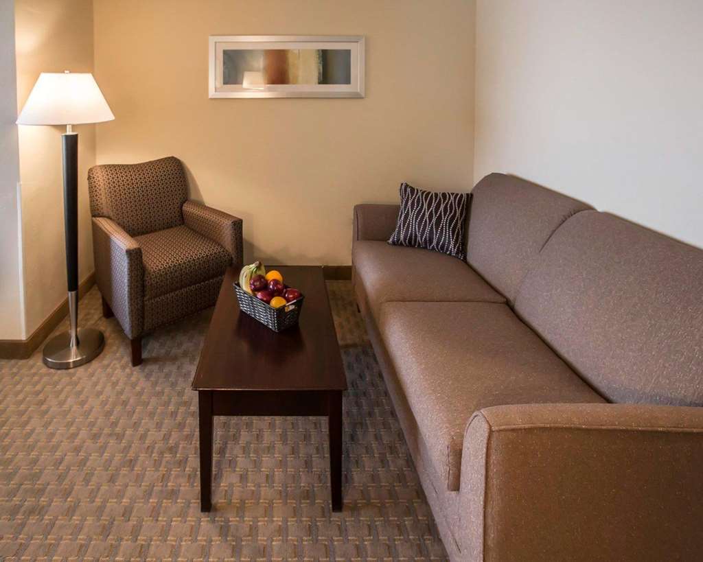 Comfort Suites University Area Notre Dame South Bend - photo 24