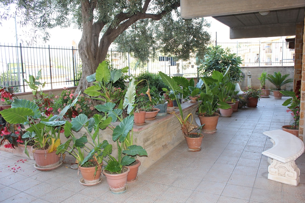B And B Ulivo 6022708 — Trabia