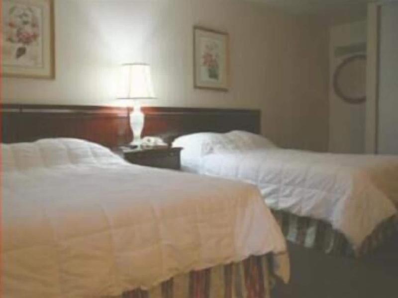 Caravelle Inn Suites - photo 40