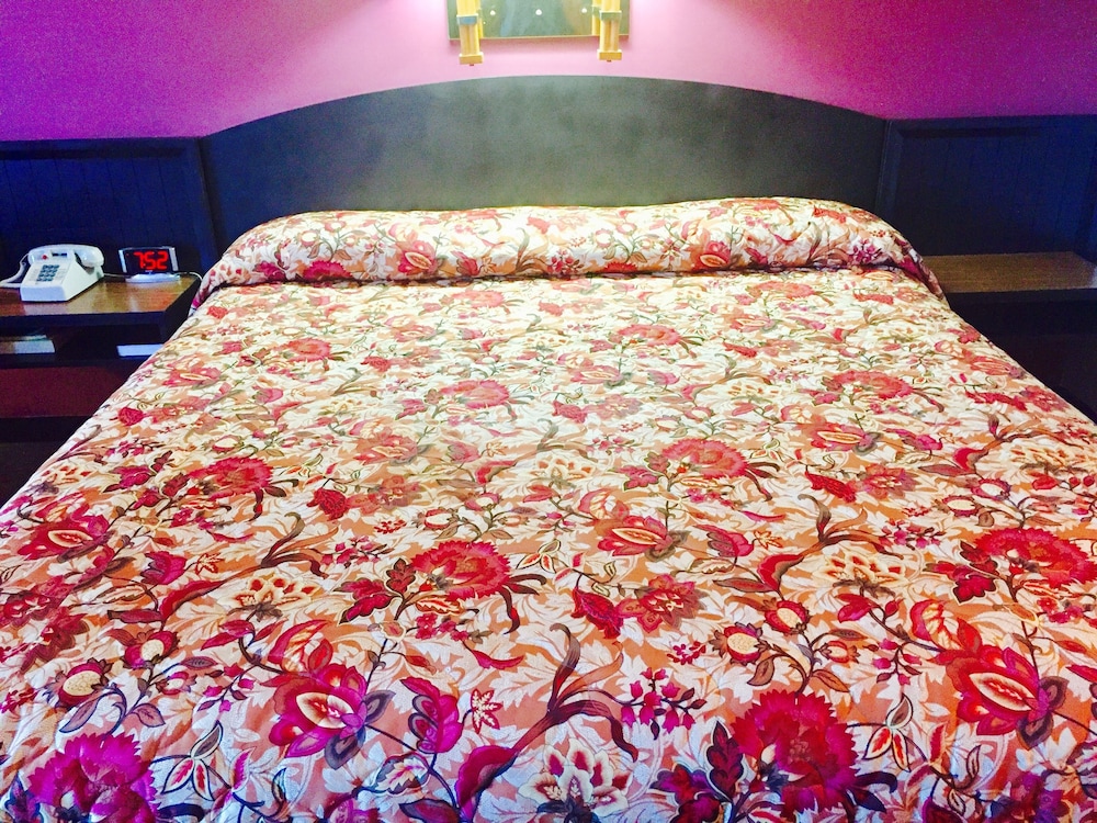 Rock City Motel - photo 6