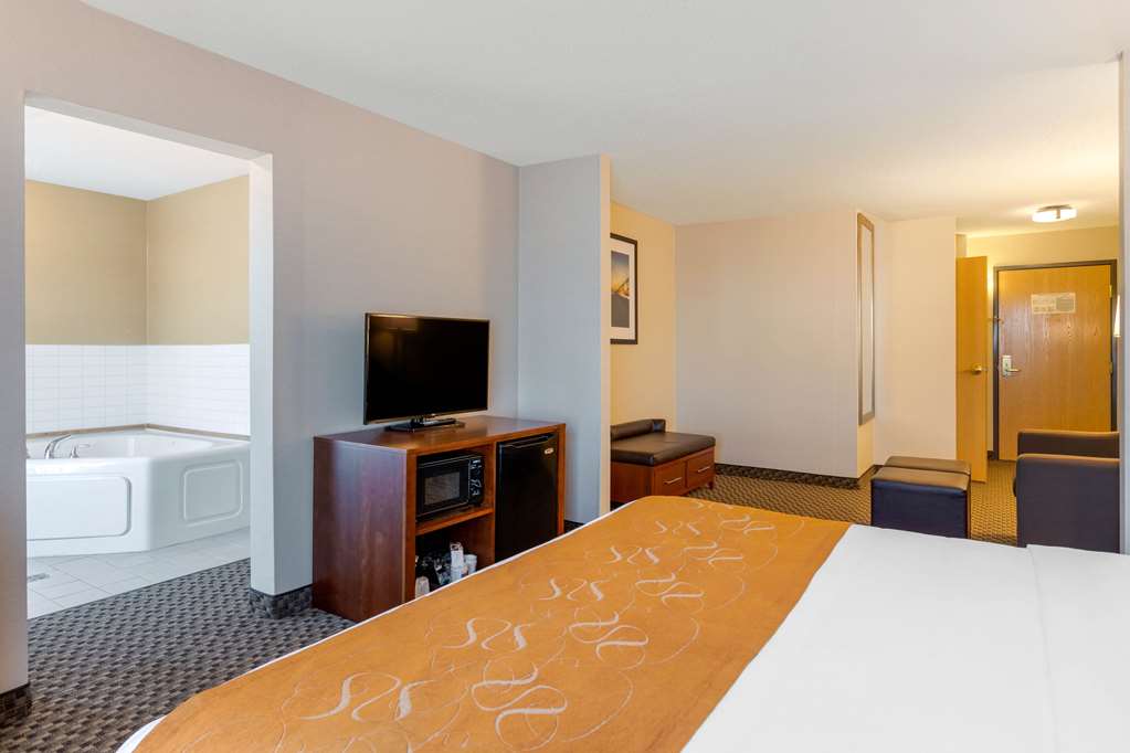 Comfort Suites South Haven near I 96 - photo 10
