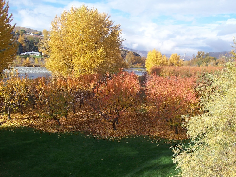 Warm Springs Inn & Winery - photo 108