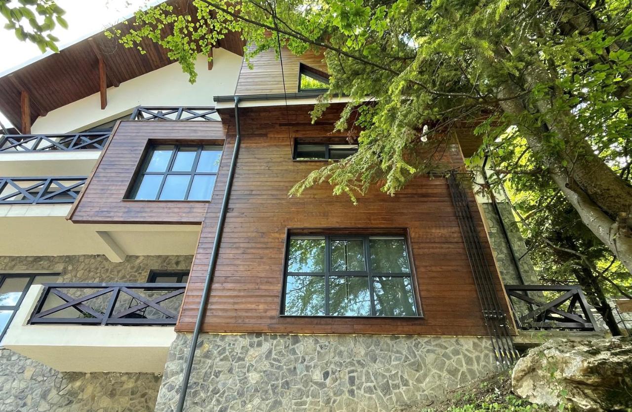 Ama Apartament Cota 1000 Sinaia — 4-Star Luxury Hotel in Sinaia, Romania