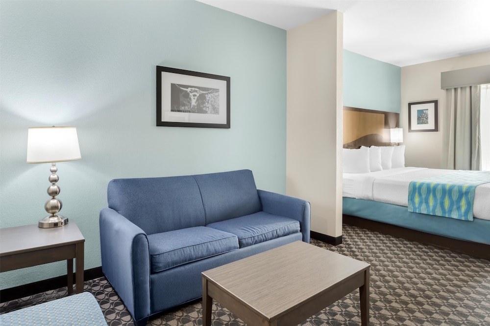 Best Western Plus Waller Hotel - photo 15