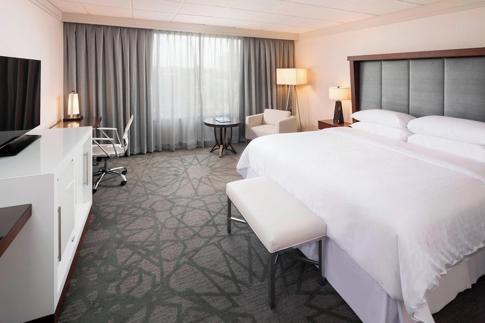 Sheraton Bloomington Hotel - photo 10
