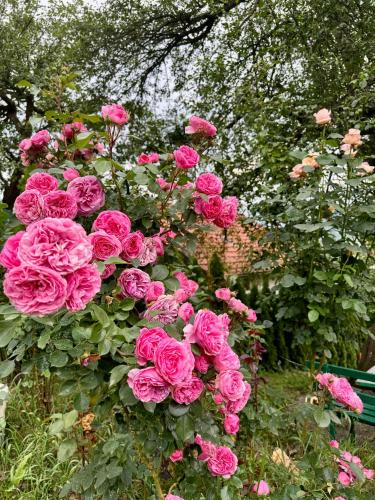 Sarajevo Flower Garden - last minute hotel in Vogosca