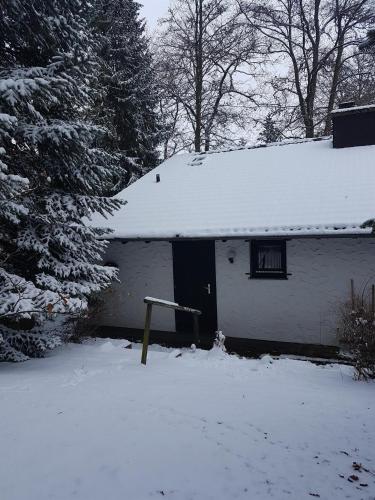 Ferienhaus Ammermann — Lissendorf — photo 2