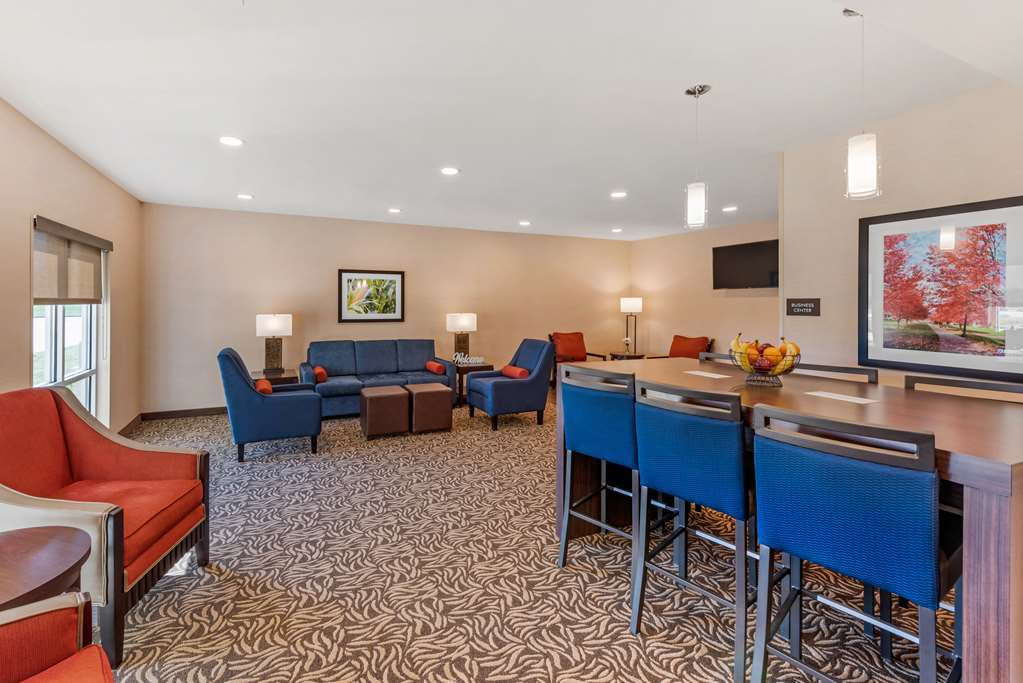 Comfort Inn & Suites Near Route 66 - photo 6