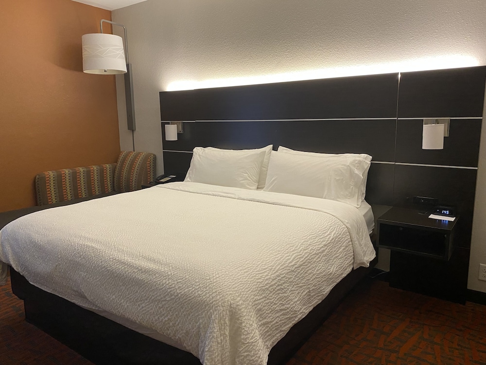 Holiday Inn Express Metropolis - photo 16
