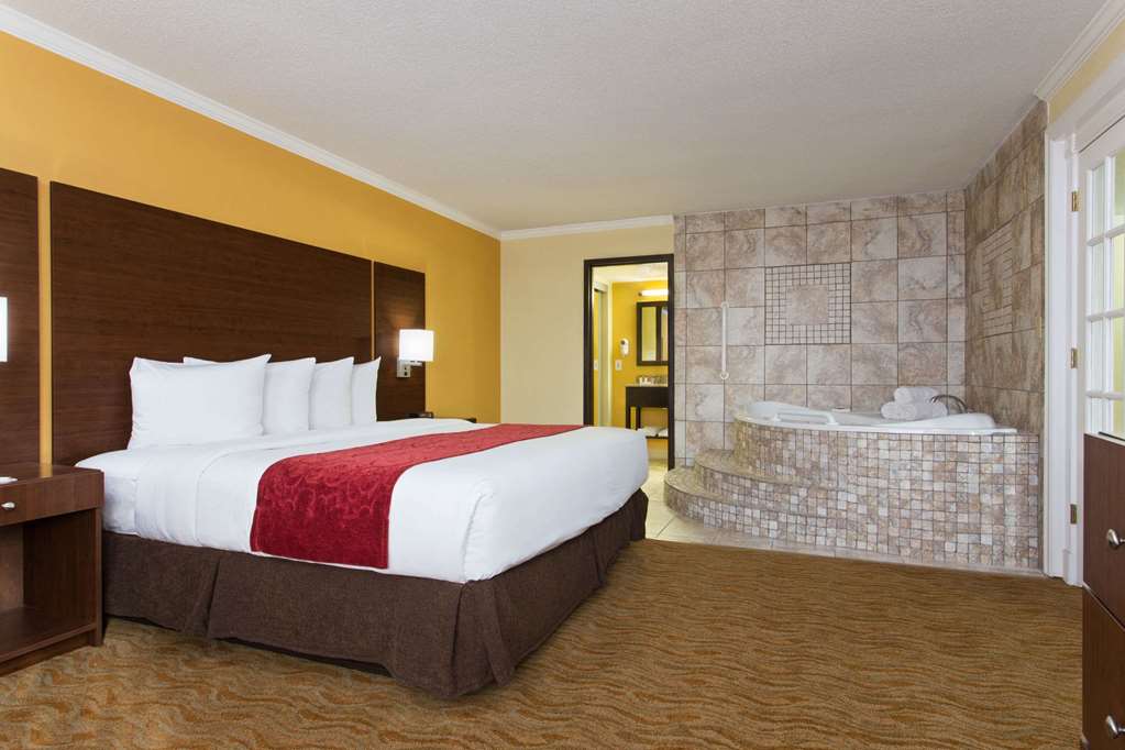 Ramada by Wyndham Tampa Westshore Airport South - photo 33