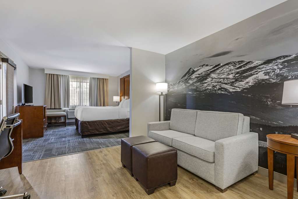 Comfort Suites Golden West on Evergreen Parkway - photo 18