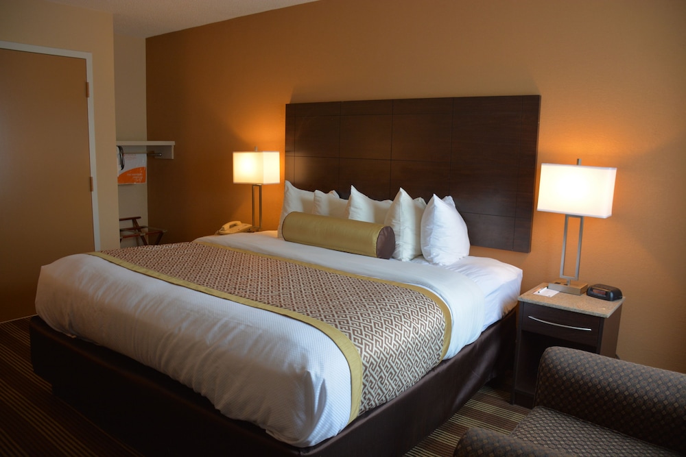 Cape Cod Hotel - photo 6