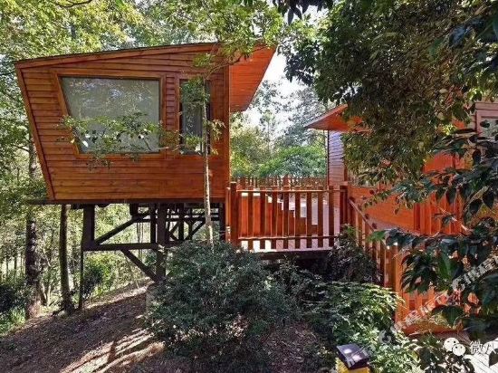Sunbar Treehouse Hotel - last minute hotel in Unknown City