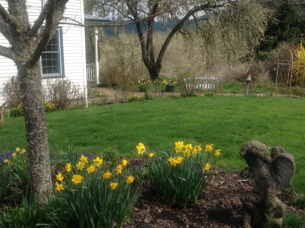Blue Rooster Inn - photo 12
