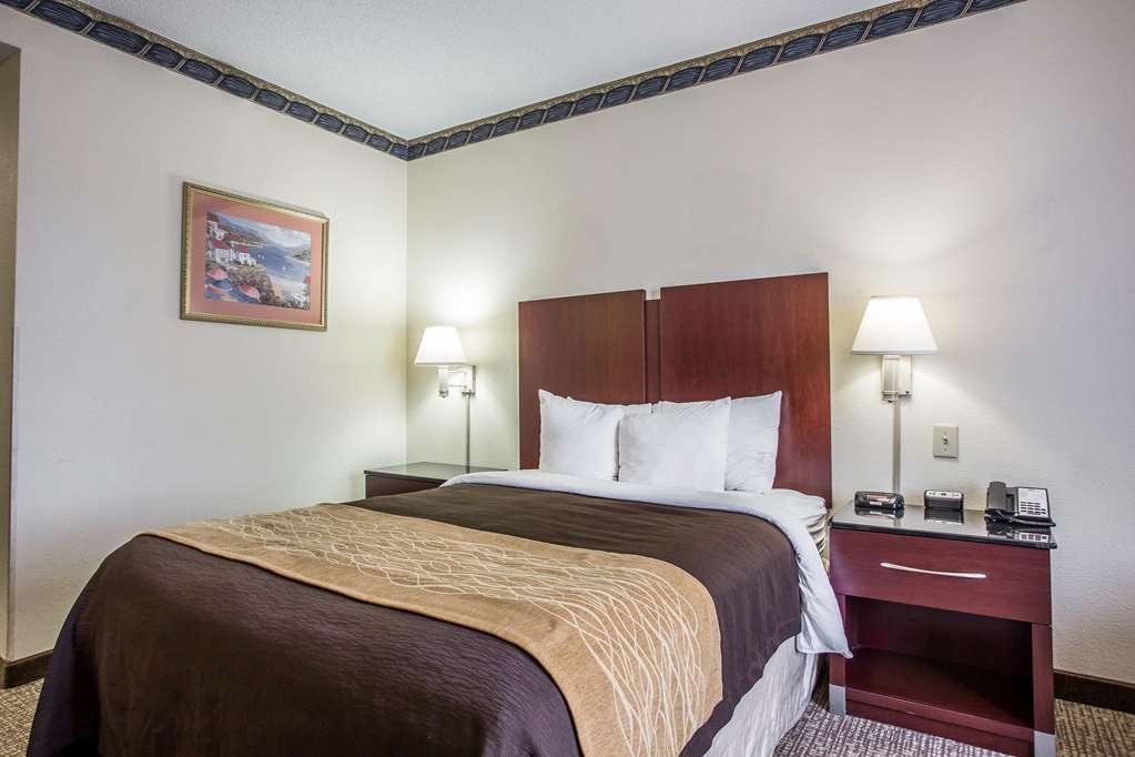 Comfort Inn & Suites Ft. Jackson Maingate - photo 9