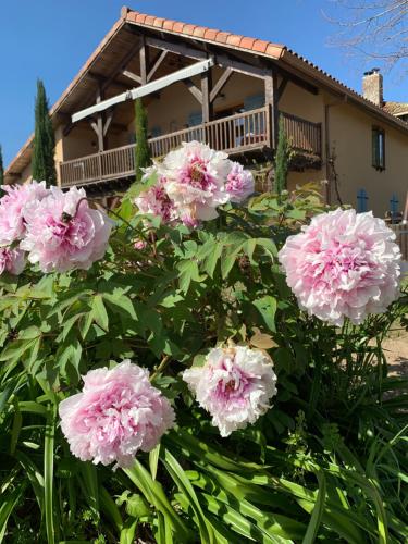 Lauberge de Nogaro - last minute hotel in Unknown City