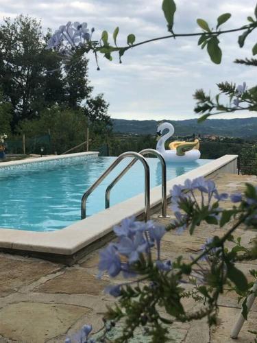 Kuća Zanetta sa bazenom in Buzet, Croatia