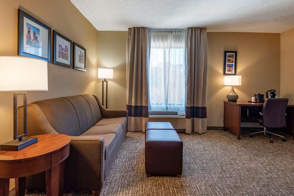 Comfort Suites Huntersville near Lake Norman - photo 38