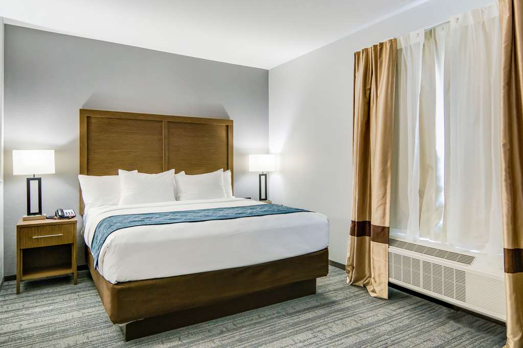 Comfort Suites DeSoto Dallas South - photo 11