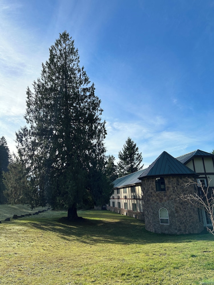 Packwood Lodge - photo 75